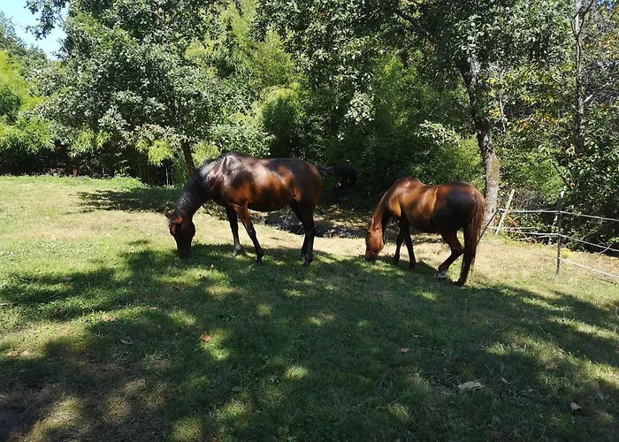 Maison A La Campagne Biras
